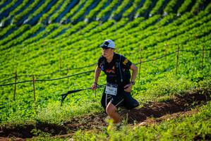 BIB: 1281
                            <button type="button" onclick="openModal(19160388)" class="btn btn-primary btn-sm float-right btn-popup" data-toggle="modal" data-target=".modal-high-quality">
                        <i class="fas fa-shopping-cart"></i> Add to Cart
                    </button>
                                            <button type="button" onclick="isThisMe(19160388, true)" class="btn btn-success btn-sm float-right btn-popup btn-isme hidden" data-toggle="tooltip" data-placement="bottom" title="นี่คือรูปของคุณใช่ไหม คลิกที่นี่เพื่อเอาเข้าอัลบั้ม">
                        <i class="fas fa-plus"></i> Add to album
                    </button>
                    <button type="button" onclick="isThisMe(19160388, false)" class="btn btn-warning btn-sm float-right btn-popup btn-isnotme hidden">
                        <i class="fas fa-ban"></i> Remove from album
                    </button>